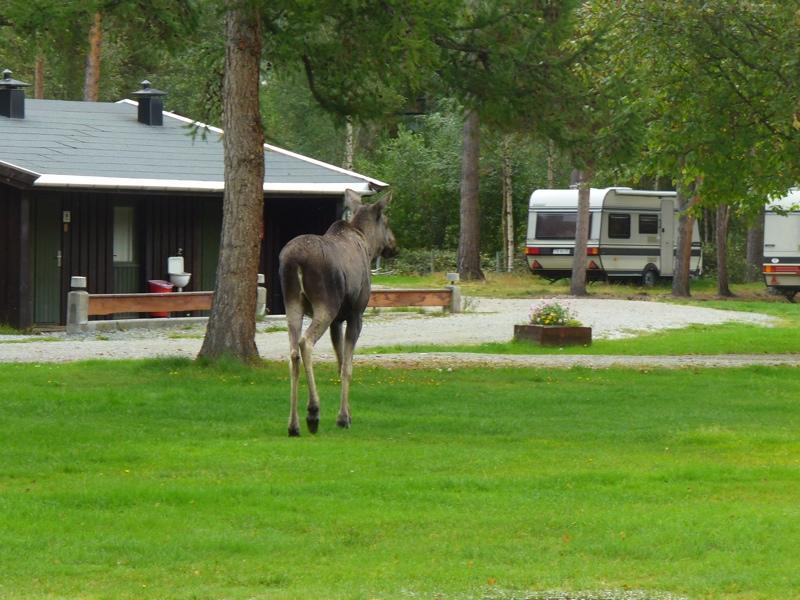 Nordberg Furuly Camping מראה חיצוני תמונה